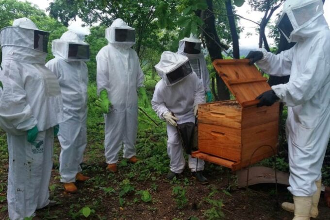 apicultores_Faemg
