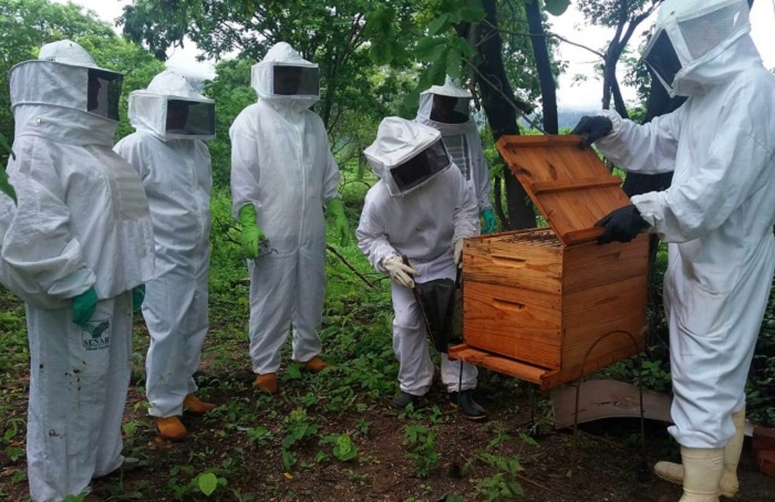 apicultores_Faemg