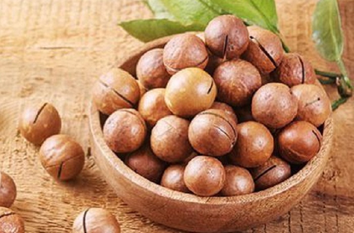 macadamia