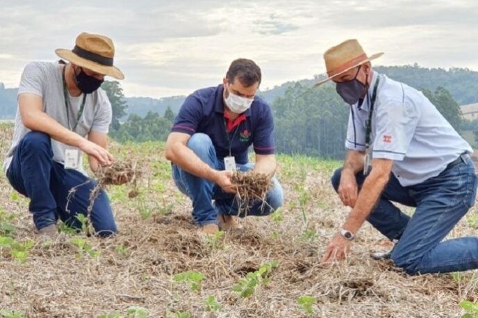 3 – MG_002_editado_Crédito: Epagri/SC