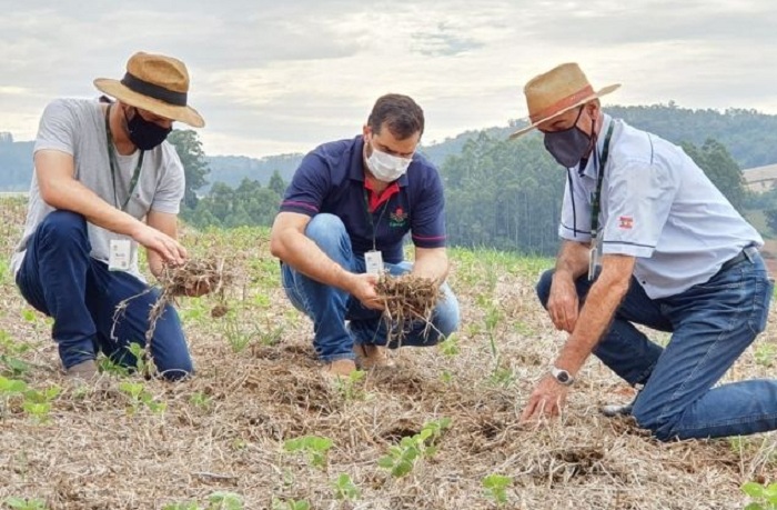 3 – MG_002_editado_Crédito: Epagri/SC