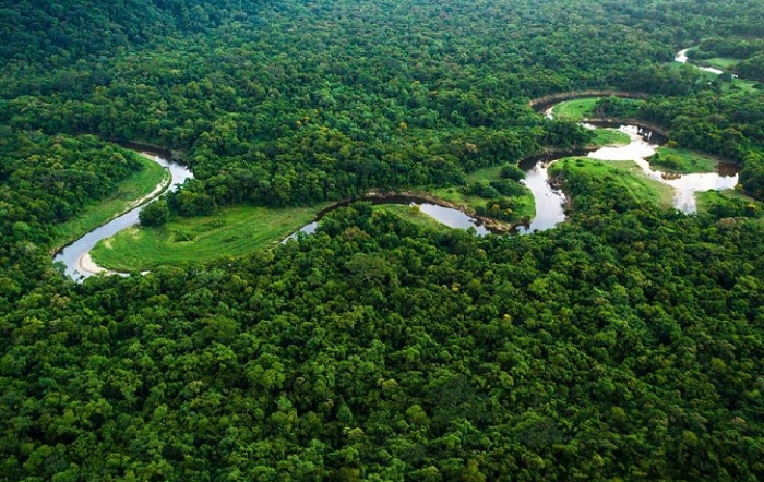 amazonia legal_A Lavoura