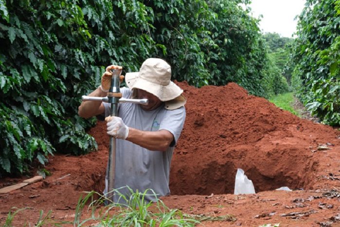 carbono negativo_cecafé