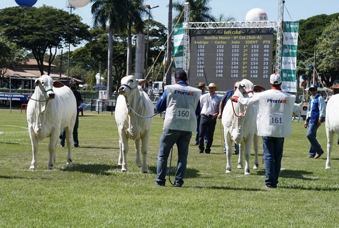 4 – IMG_003_Foto ABCZ