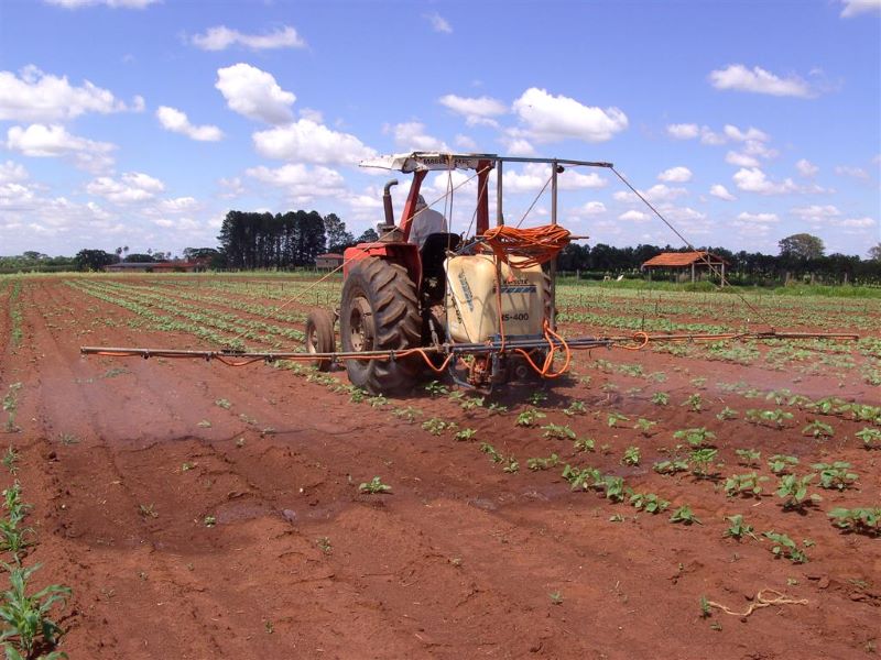 Abertura artigo reducao-Foto Eliana Lima