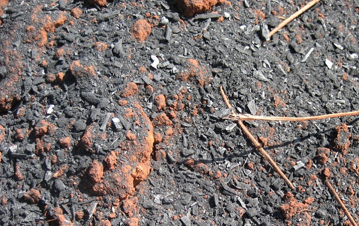 Aline Peregrina Puga_Embrapa