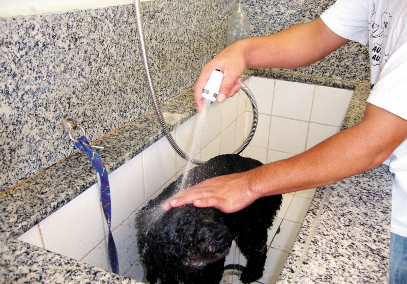 Banho – Foto Cristina Baran