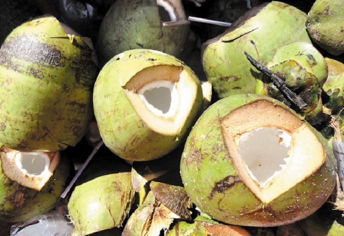 Foto-01-Coco-lixo-Cristina-Baran