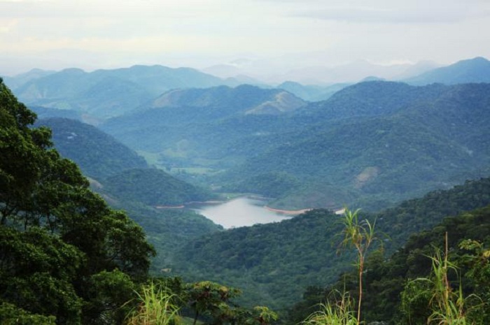 Mata Atlântica_Foto_Liliane Bello