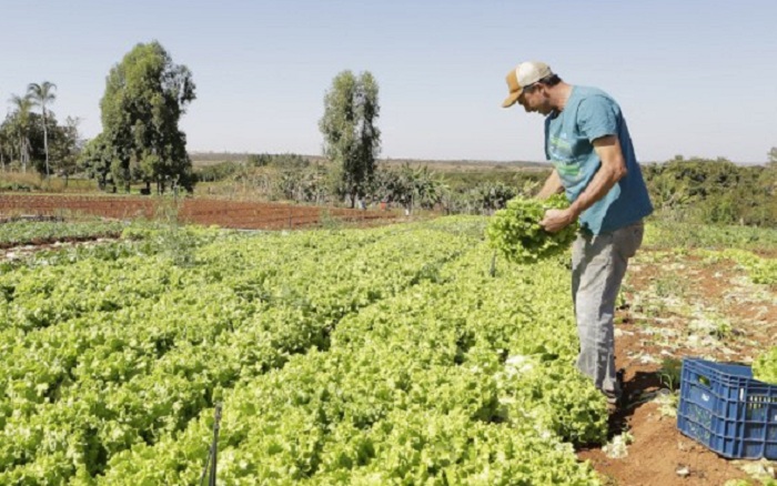 agricultura familiar_mapa