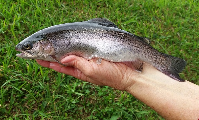 2 – IMG_001_editado