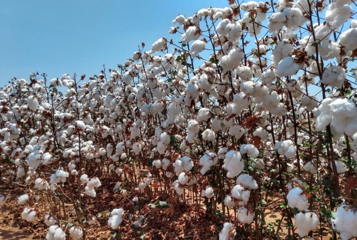 4 – IMG_003_Foto Fundacao Bahia_editado