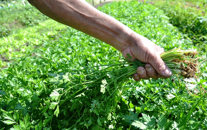 2 – IMG_001_Gustavo Porpino_editado