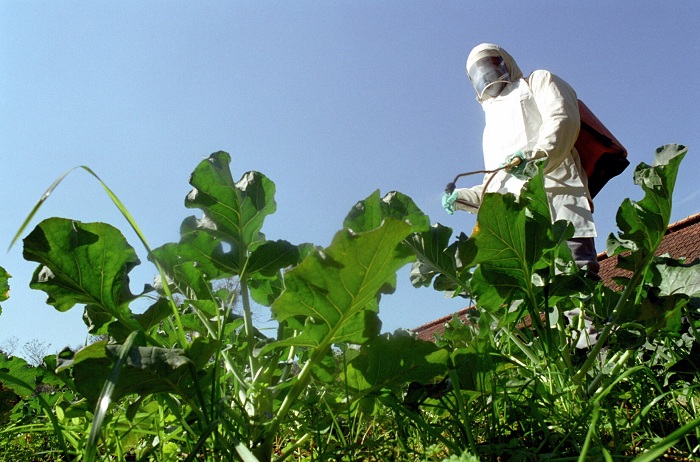 2 – Agrotoxicos Horta-Katia Marcon-EmaterRS-Ascar-13-08-2014_editado