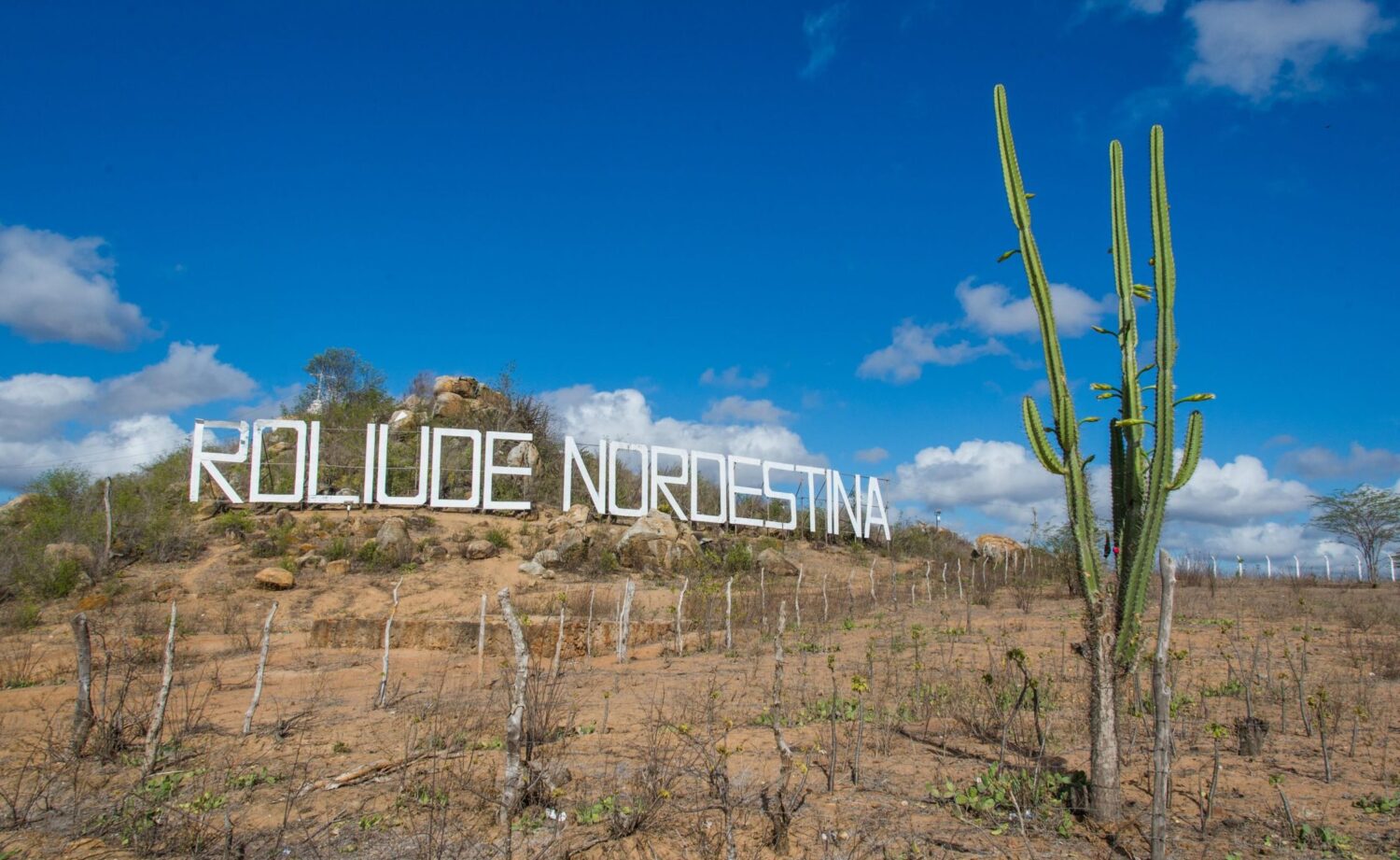 23052015-antonio_david-00060