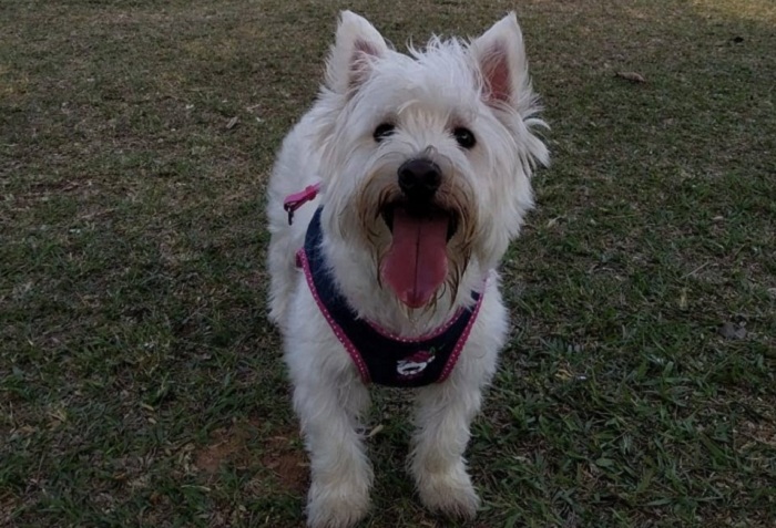 3 – IMG_002_editado