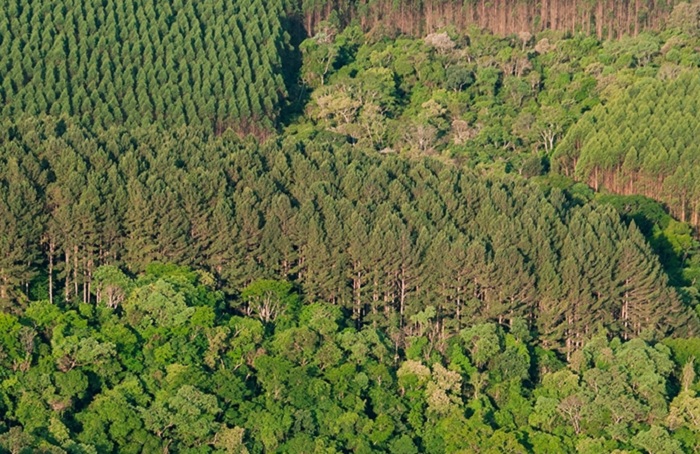 3 – IMG_Abre_Embrapa_editado