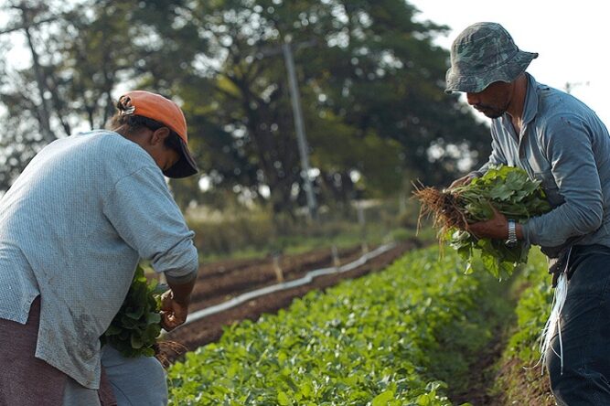 Foto_Antoninho Perri_JU_editado