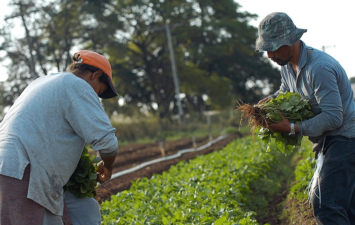 Foto_Antoninho Perri_JU_editado