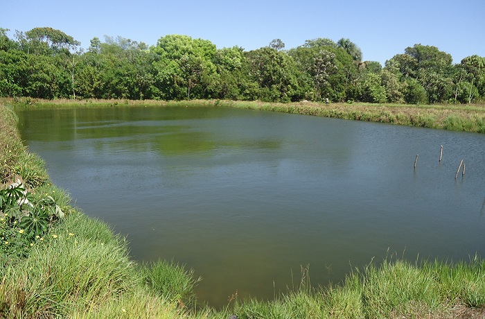 viveiro escavado_embrapa_editado