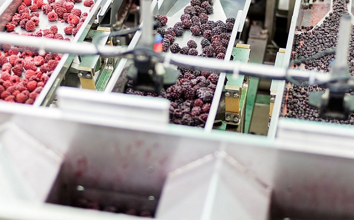 2 – IMG_001_editado