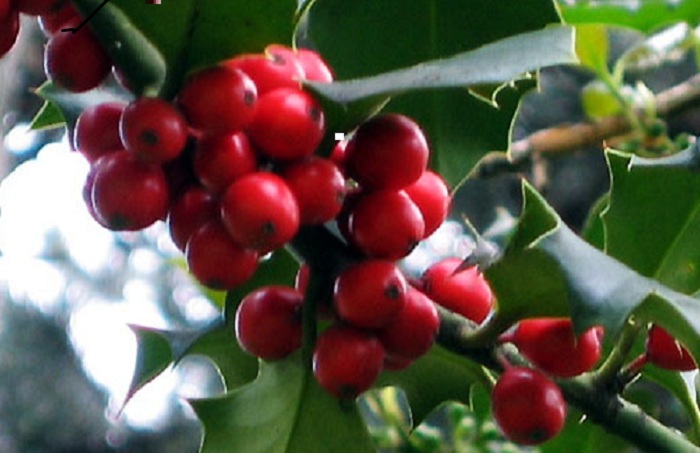 2 – IMG_001_editado