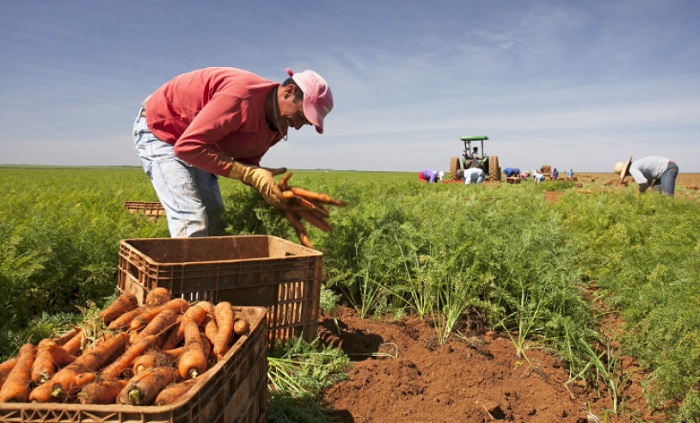 Foto_Agência Sebrae
