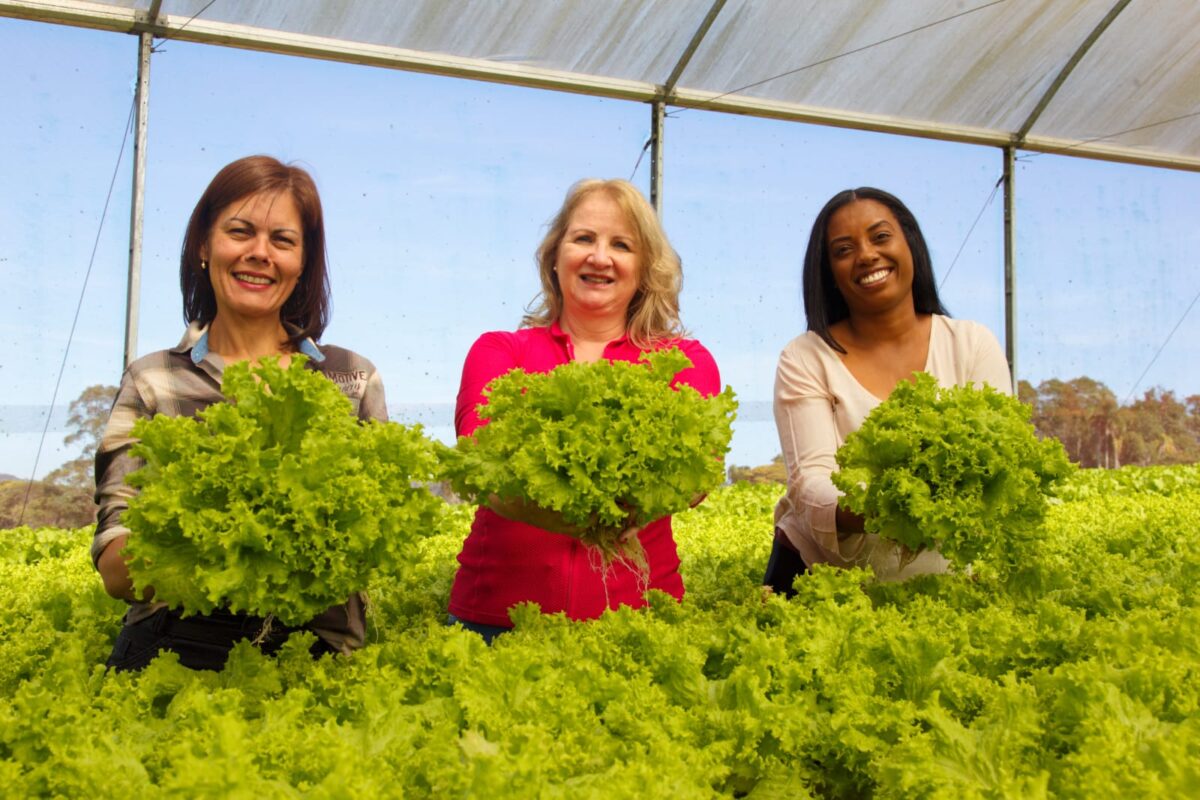 WhatsApp Image 2022-08-17 at 09.23.16