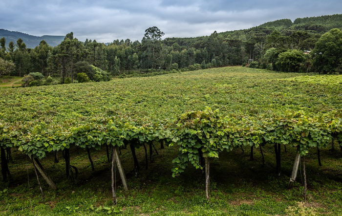 7 – Foto 01_editado_fotor