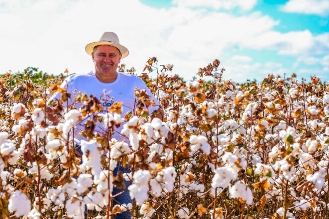 Júlio Cézar Busato, Abrapa