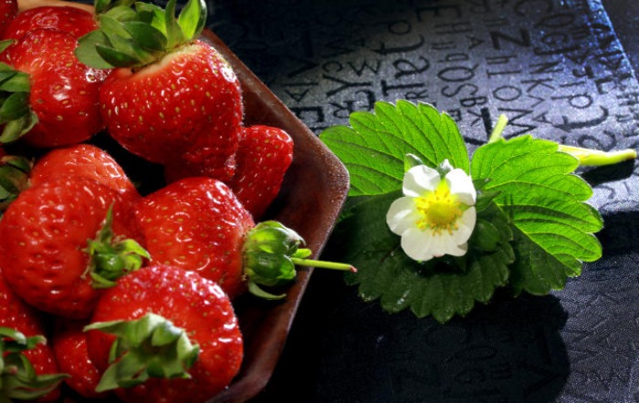 A LAVOURA Fotoi_Paulo Lanzetta_fotor 108K