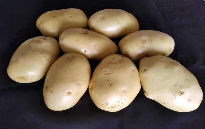 2 – IMG_001 Foto Giovani Olegario_fotor