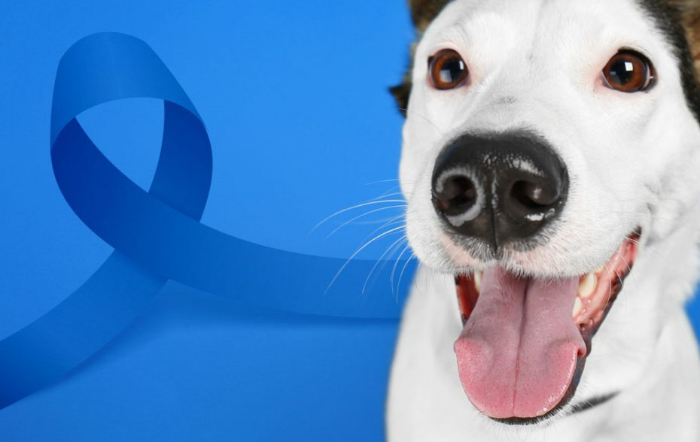 Novembro azul_A Lavoura_fotor