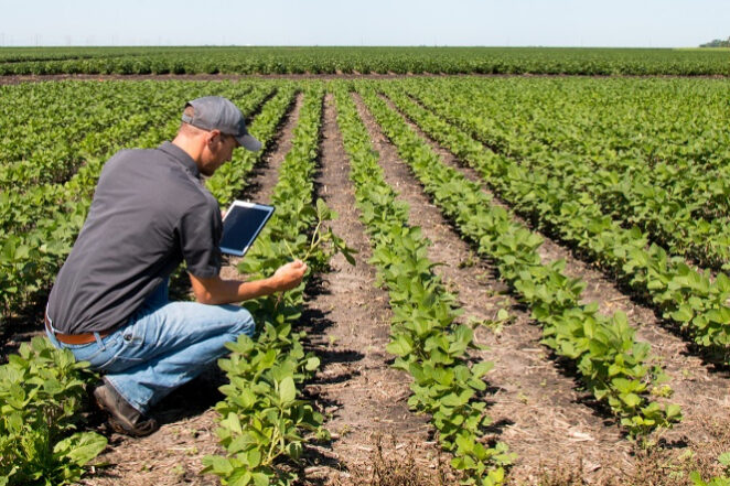 agricultura digital – iStock_fotor