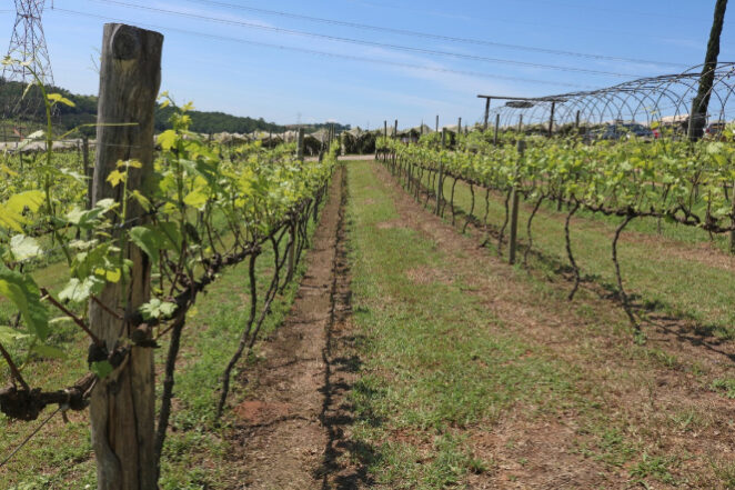 2 – IMG_001_fotor (11)