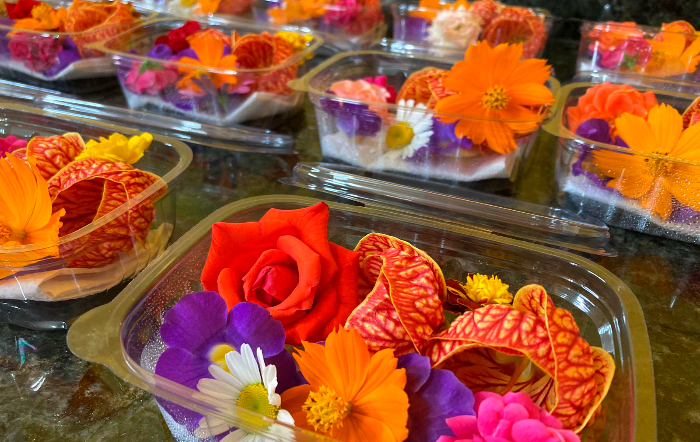 2 – IMG_001_fotor (12)