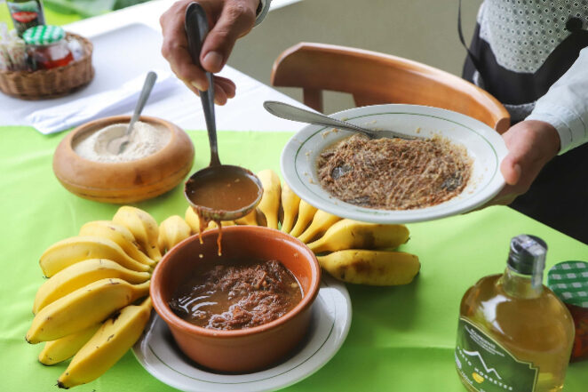 Foto_José Fernando Ogura_editado_fotor