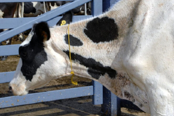 fotor_2023-1-9_14_20_29_fotor