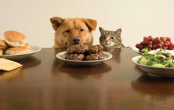 alimnutri_A Lavoura_fotor