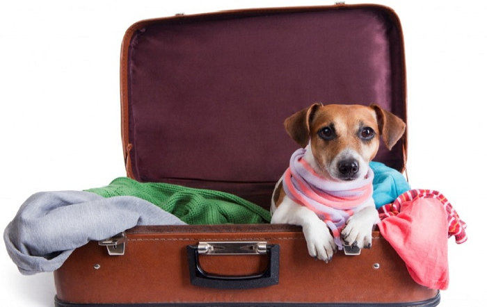 Foto: Divulgação MAPA