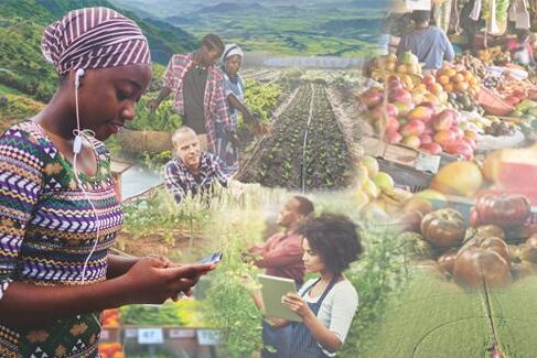 africa-featured-img_555x325px