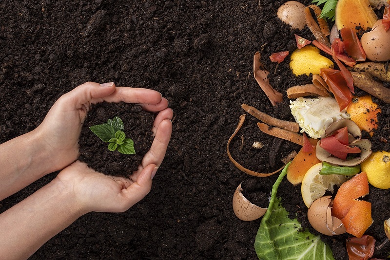 o que é compostagem e como fazer em casa