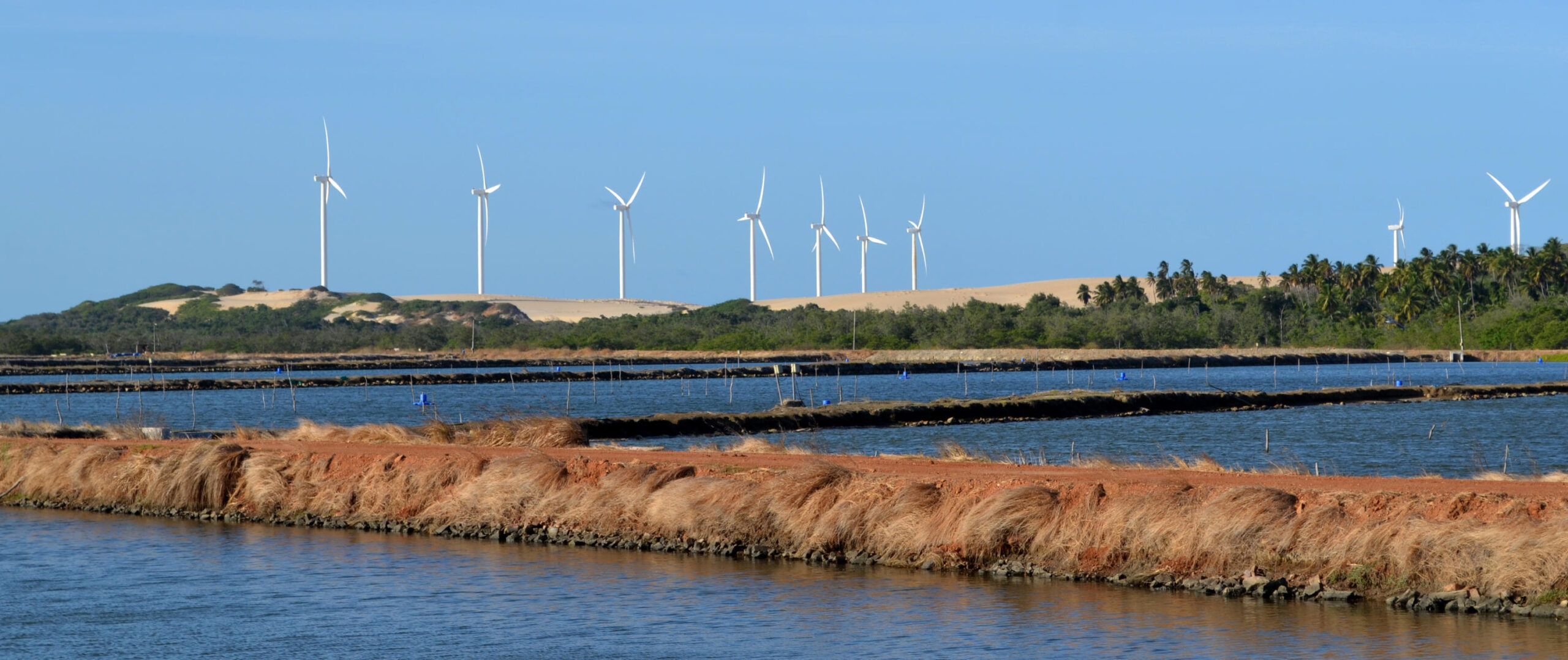 Viveiros escavados para produção de camarão/ Foto: Yara Novo-Embrapa Viveiros escavados para produção de camarão/ Foto: Yara Novo-Embrapa