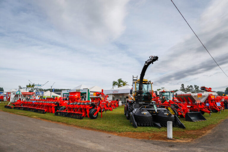 52081623232_f2a995fba2_o