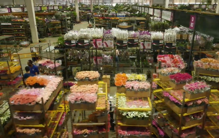 fotor_2023-5-5_18_26_40