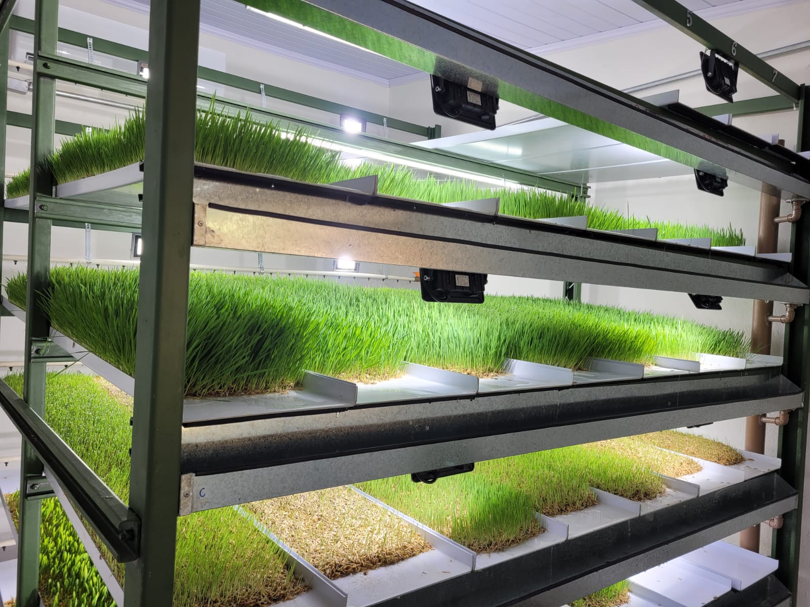 WhatsApp Image 2023-05-31 at 13.18.50