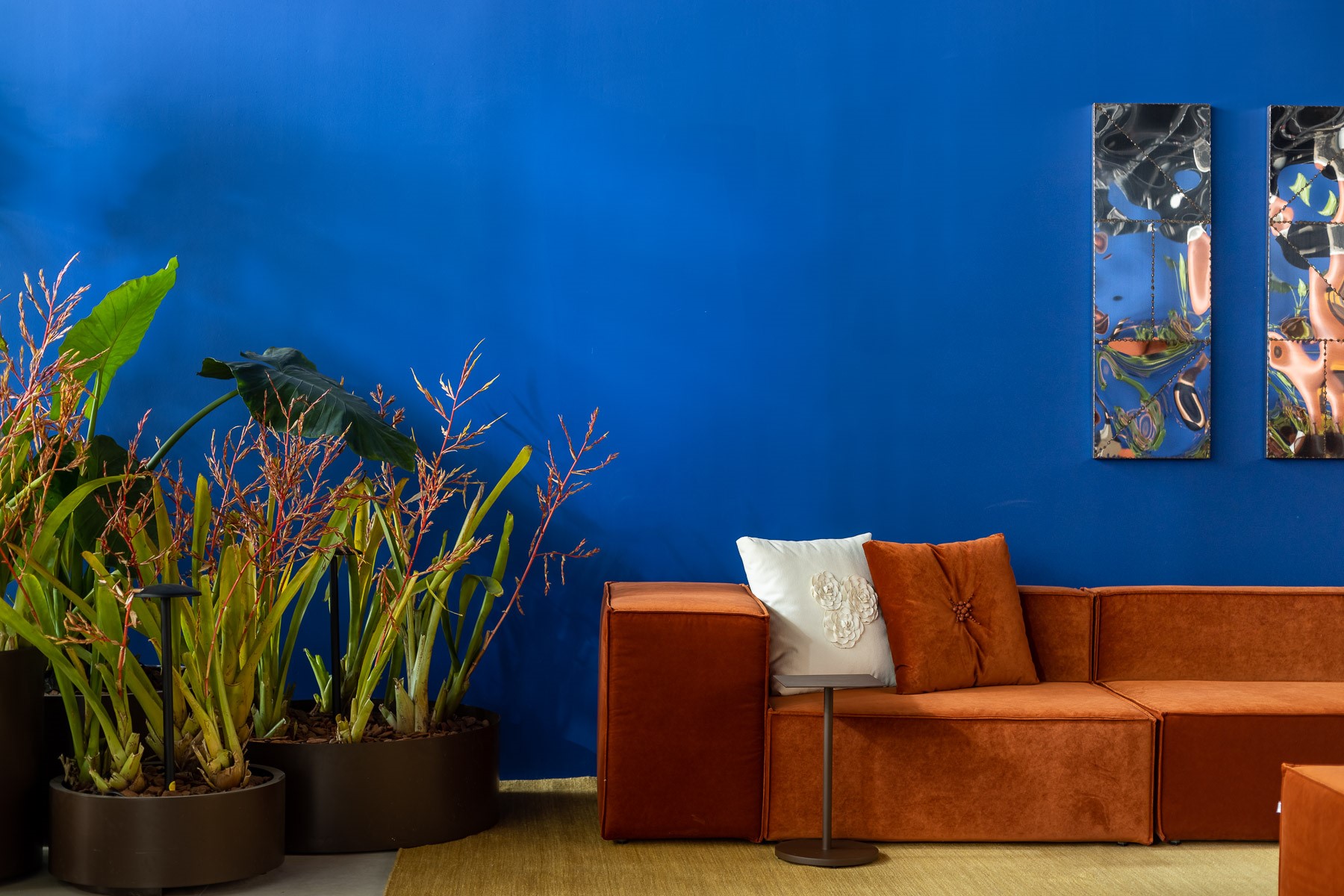 Espaços como salas, varandas, jardins internos ou externos e, até mesmo quartos, ficam mais charmosos com plantas