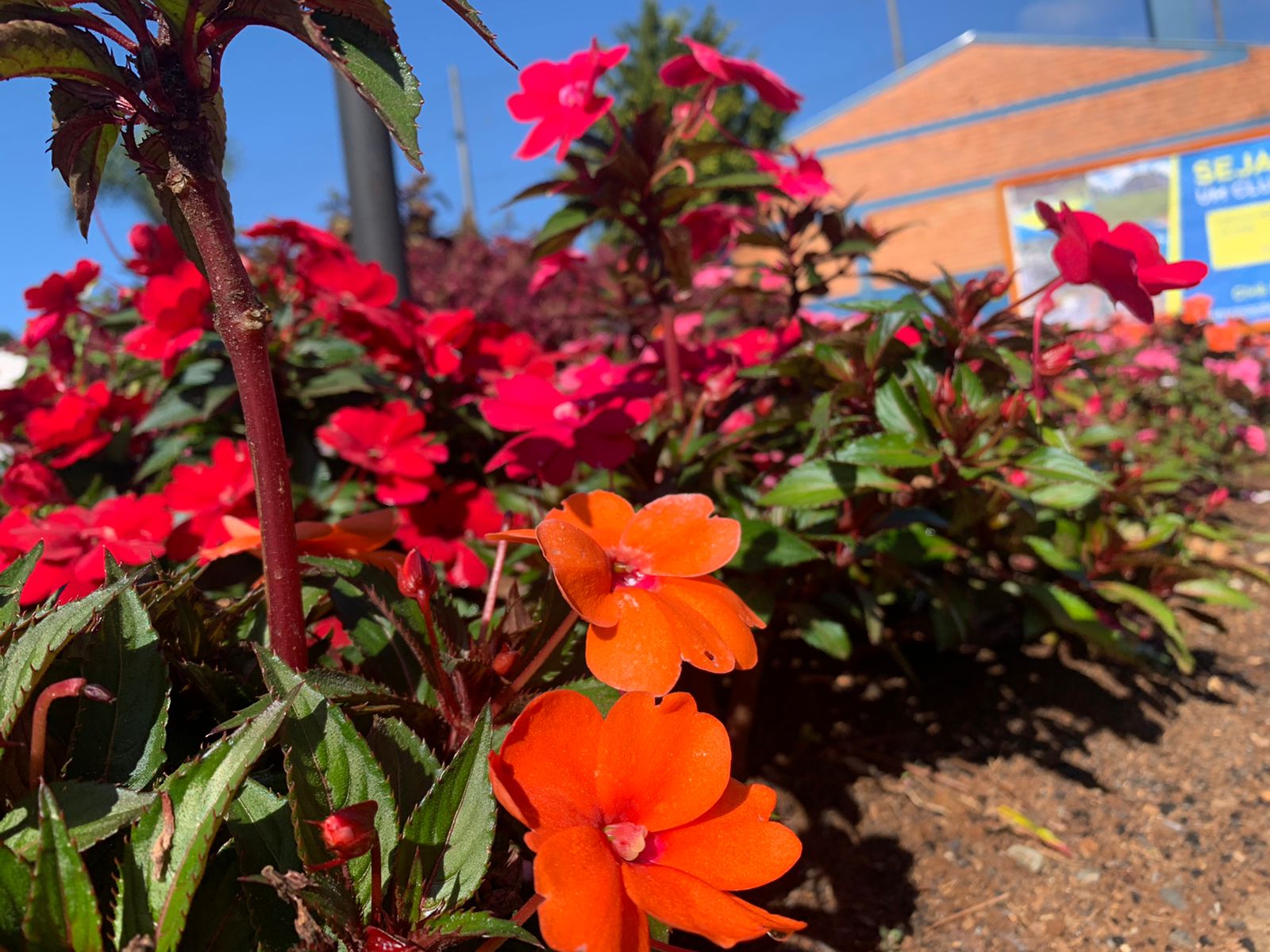 WhatsApp-Image-2022-05-06-at-14.23.37