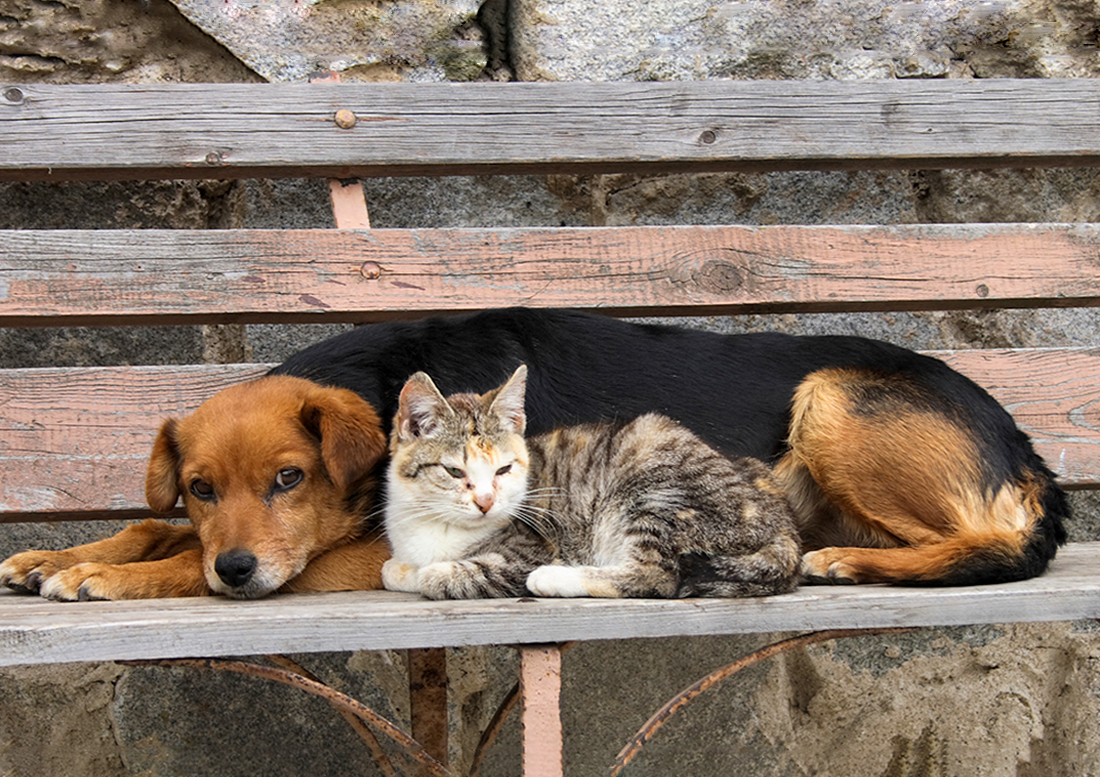 0 – FOTO ABRE – foto Governo federal