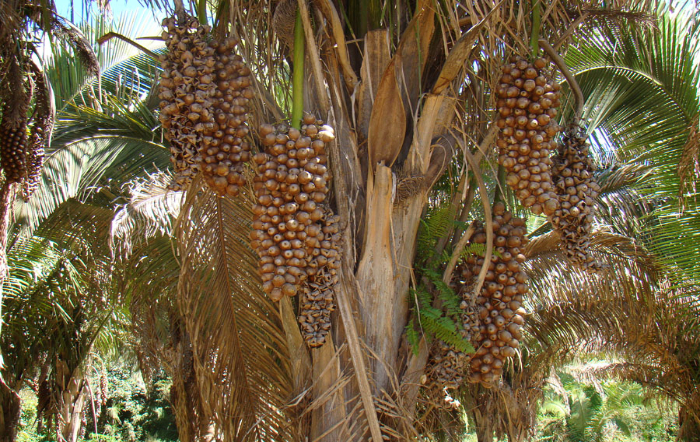 6 – IMG_005-fotor-20230728153045